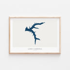 lake carroll illinois map poster – minimalist lake wall art - image 2