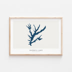 harris lake north carolina map poster – minimalist lake wall art - image 2