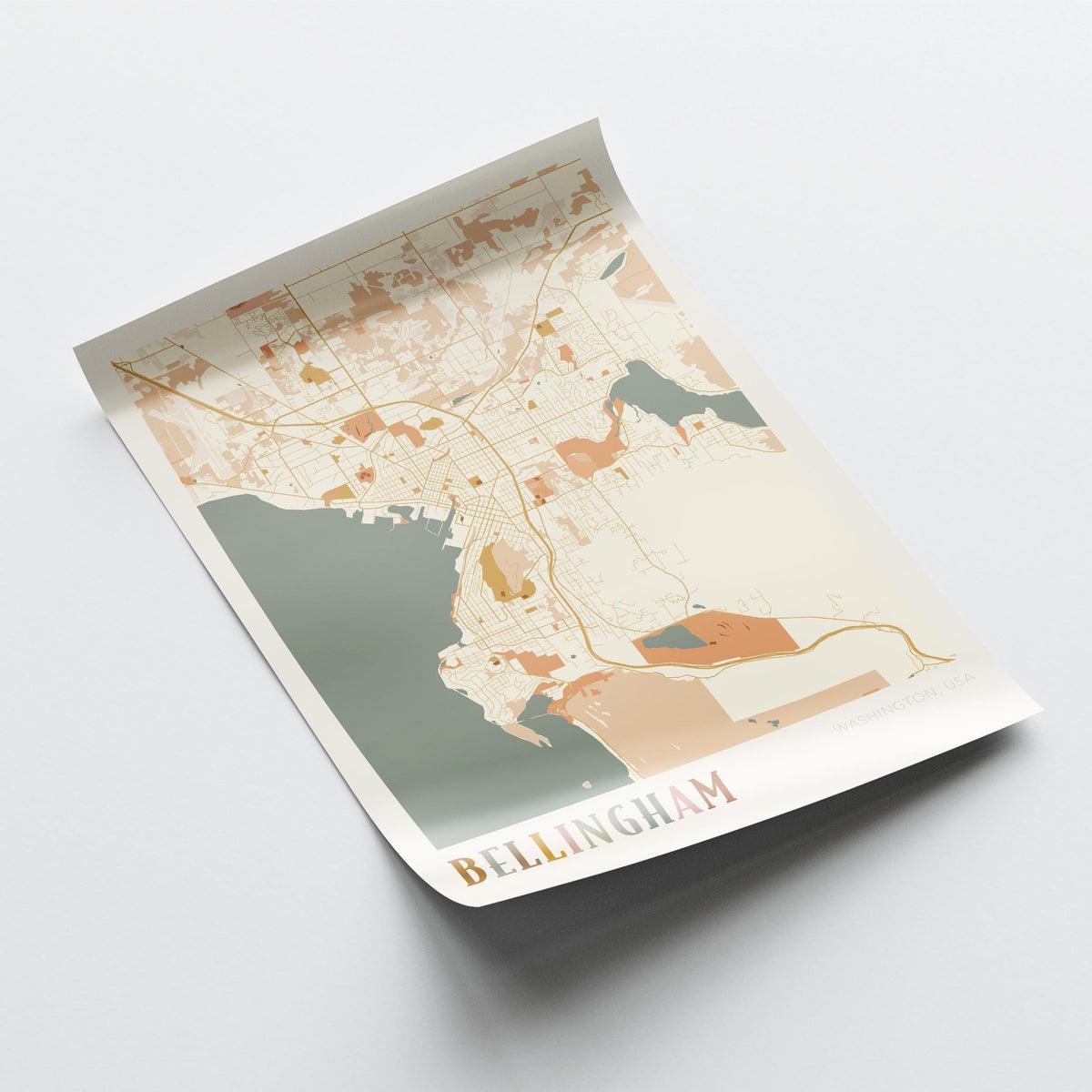 bellingham, washington map poster - image 4