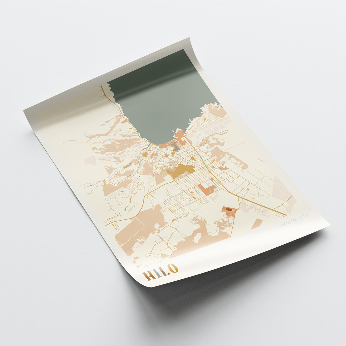 hilo, hawaii map poster - image 4