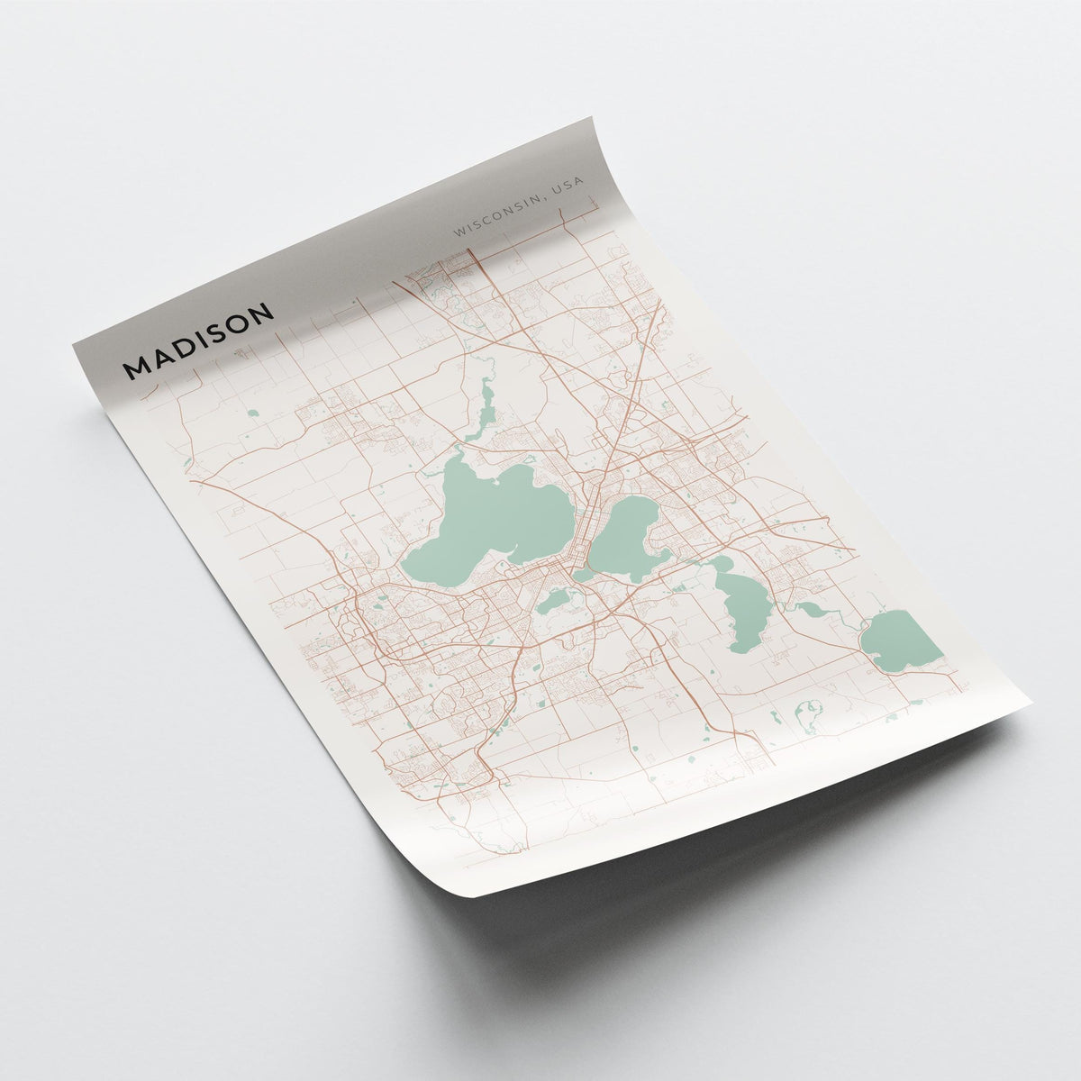 madison, wisconsin map poster - image 4