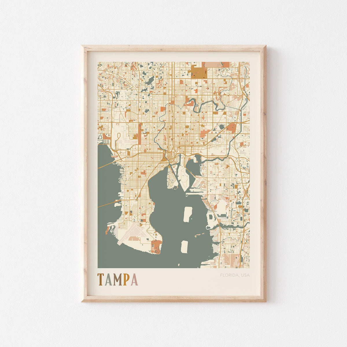 tampa, florida map poster - image 1