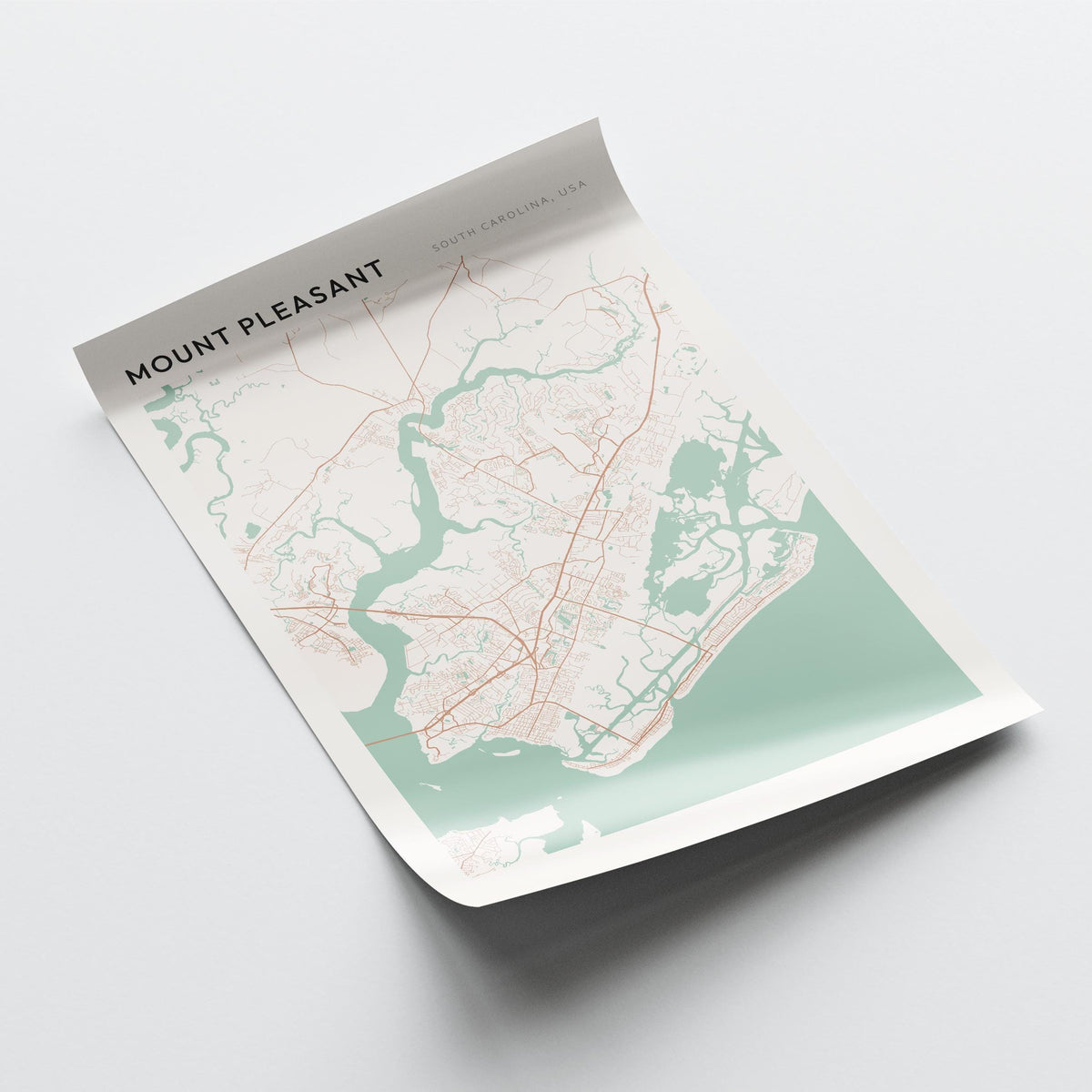 mount pleasant, south carolina map poster - image 4