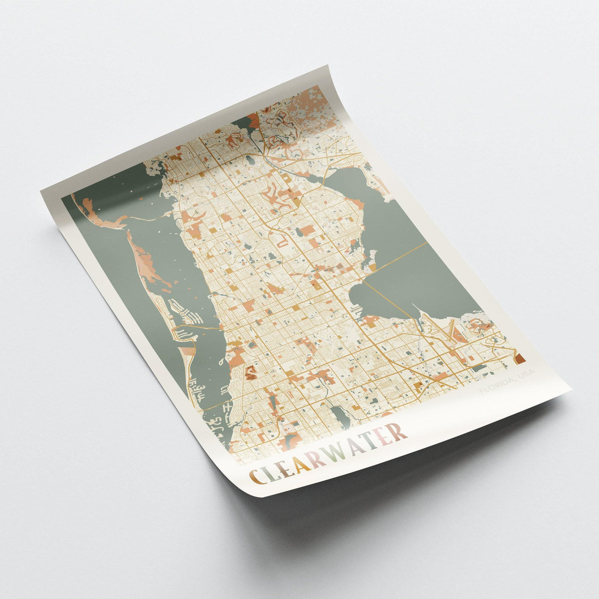 clearwater, florida map poster - image 4