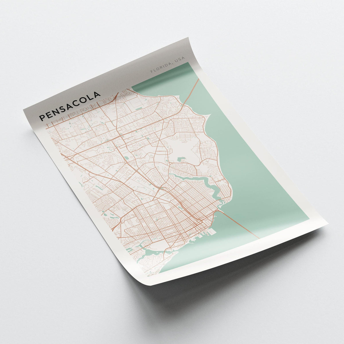 pensacola, florida map poster - image 4