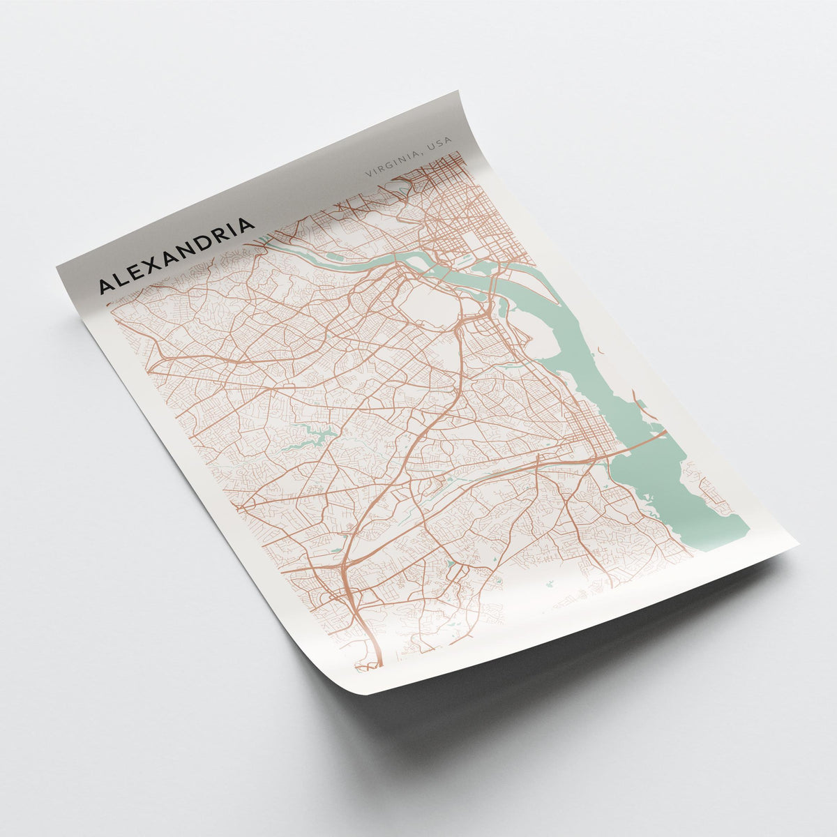 alexandria, virginia map poster - image 4