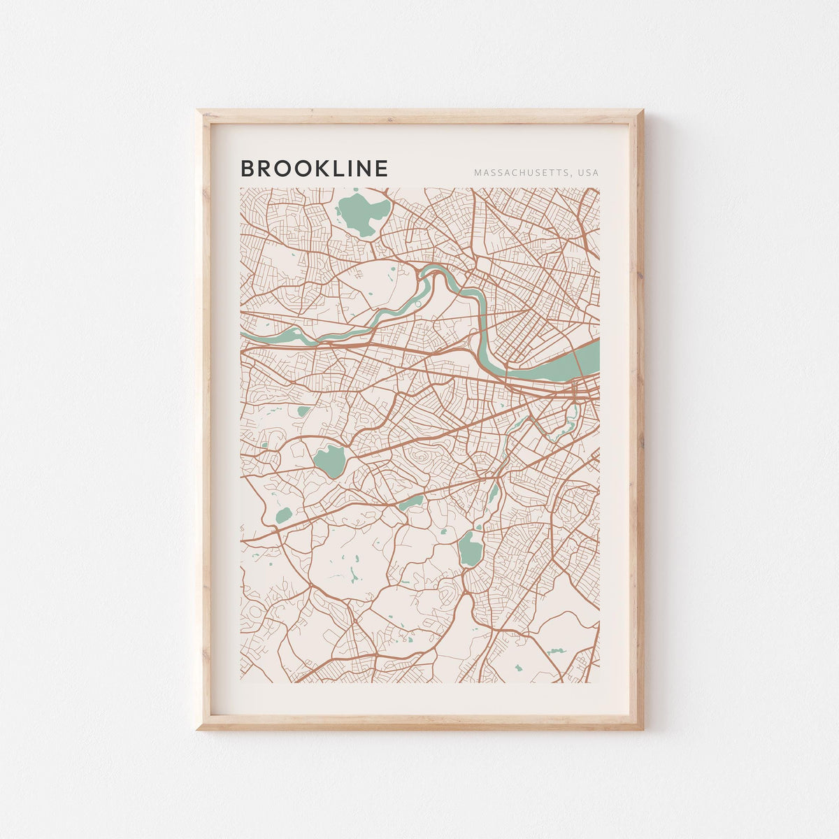 brookline, massachusetts map poster - image 1
