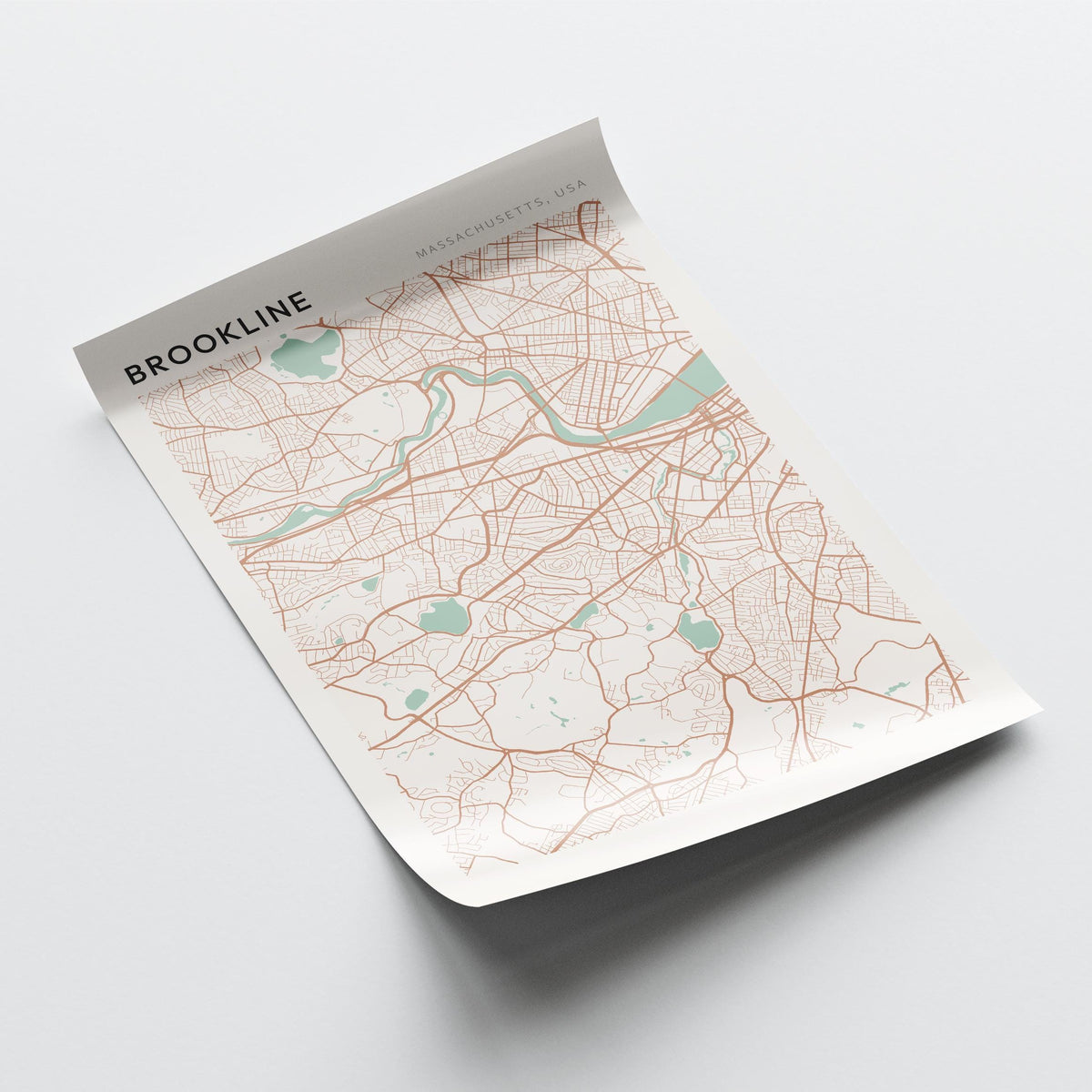 brookline, massachusetts map poster - image 4