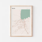 hilo, hawaii map poster - image 1