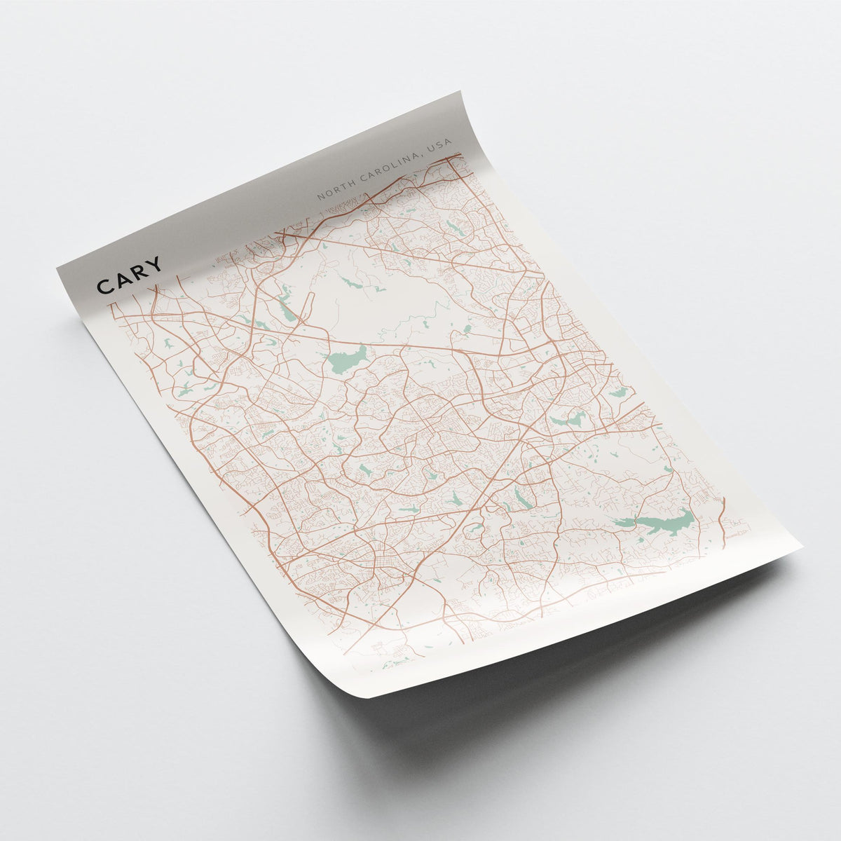 cary, north carolina map poster - image 4