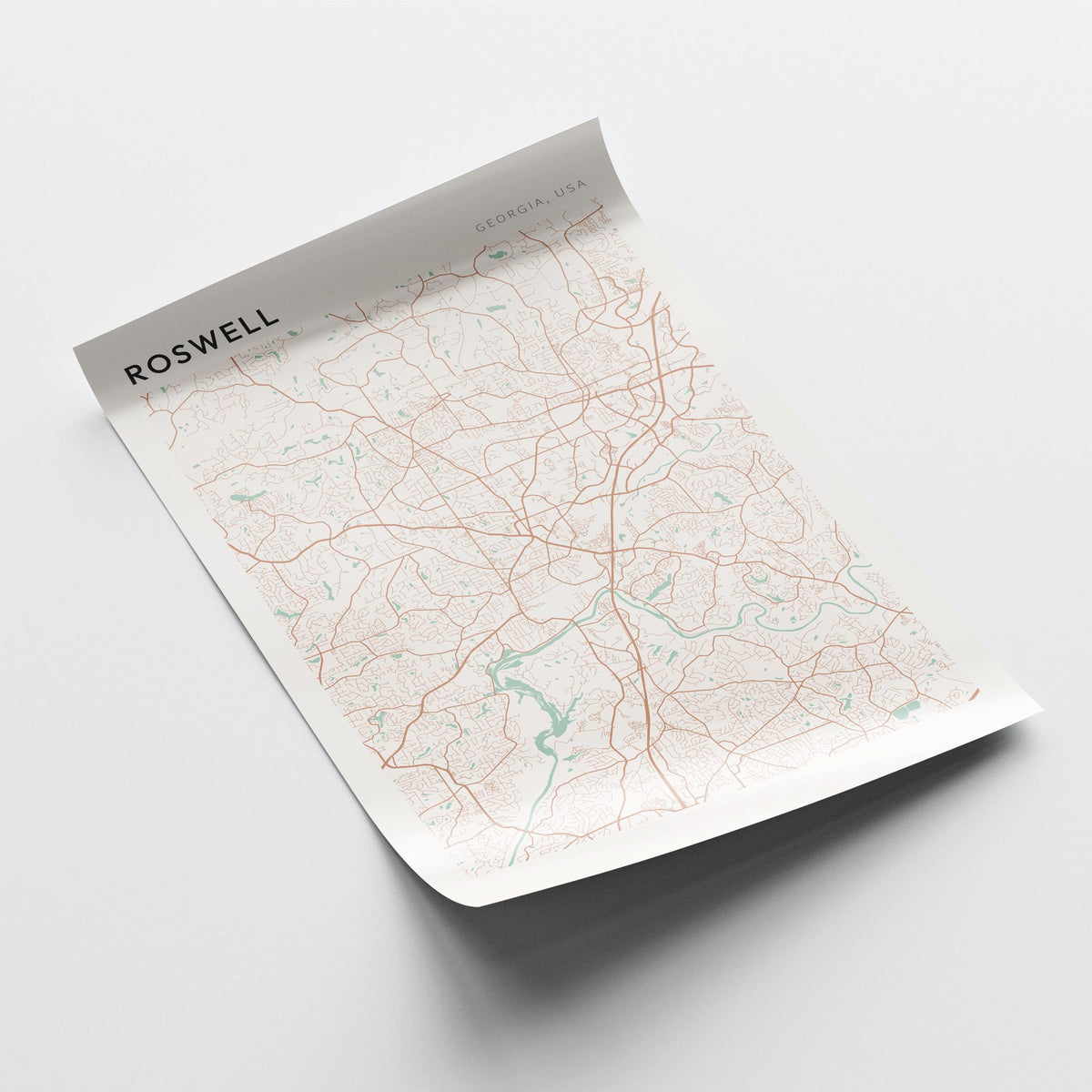 roswell, georgia map poster - image 4