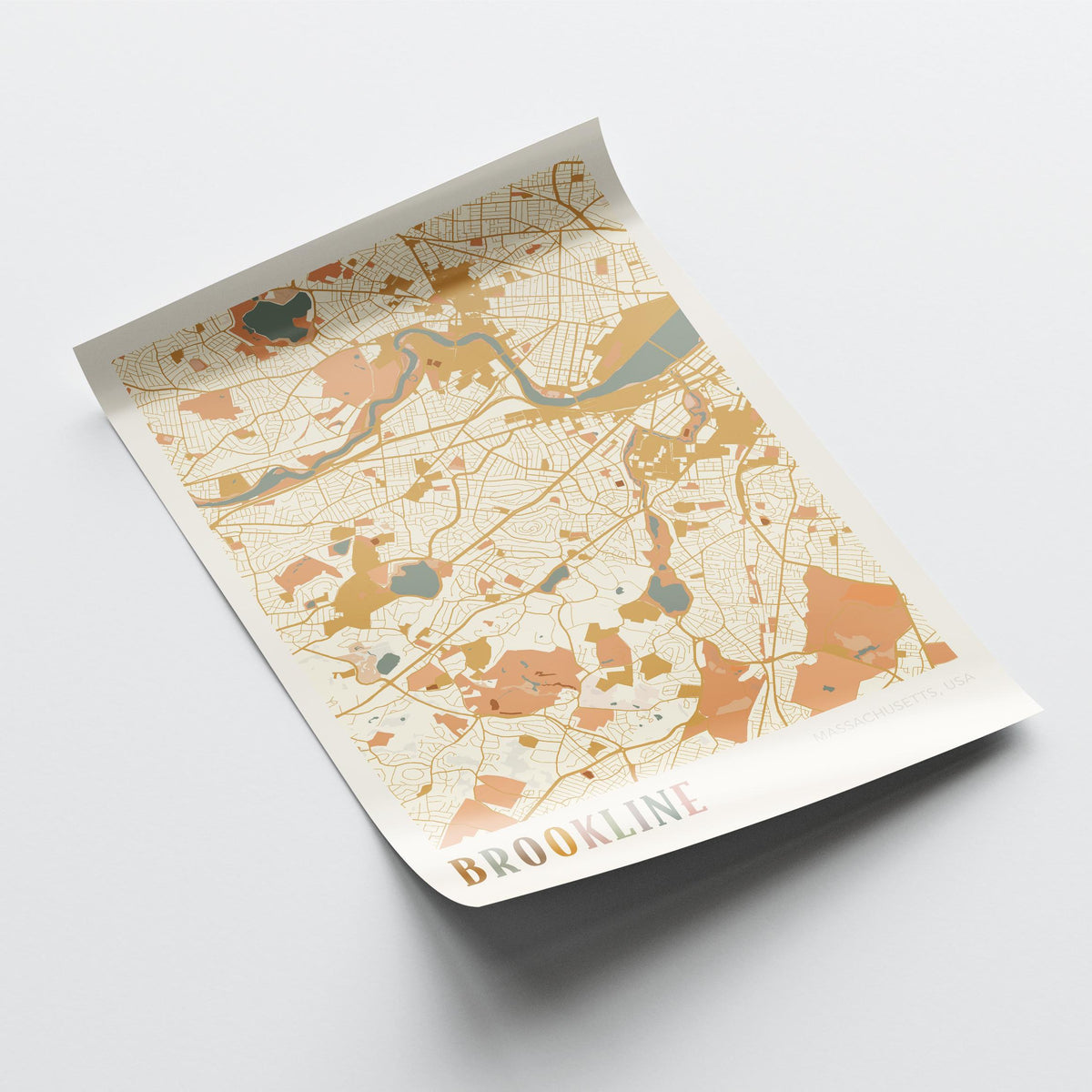 brookline, massachusetts map poster - image 4