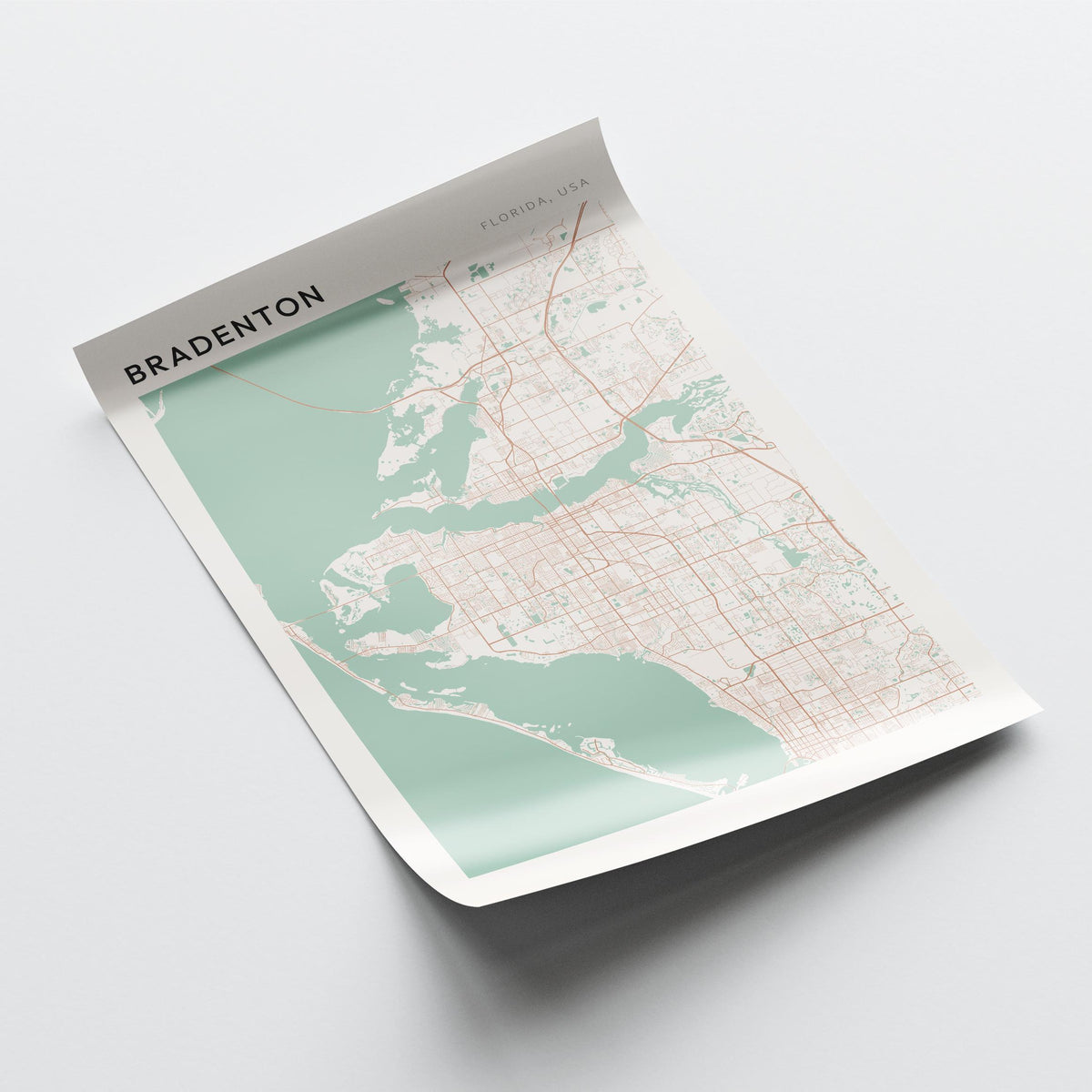 bradenton, florida map poster - image 4