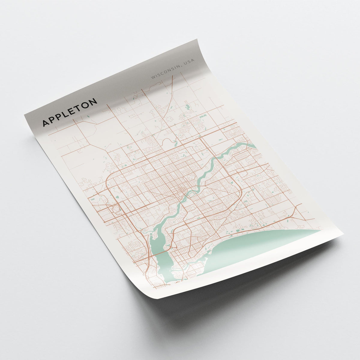 appleton, wisconsin map poster - image 4
