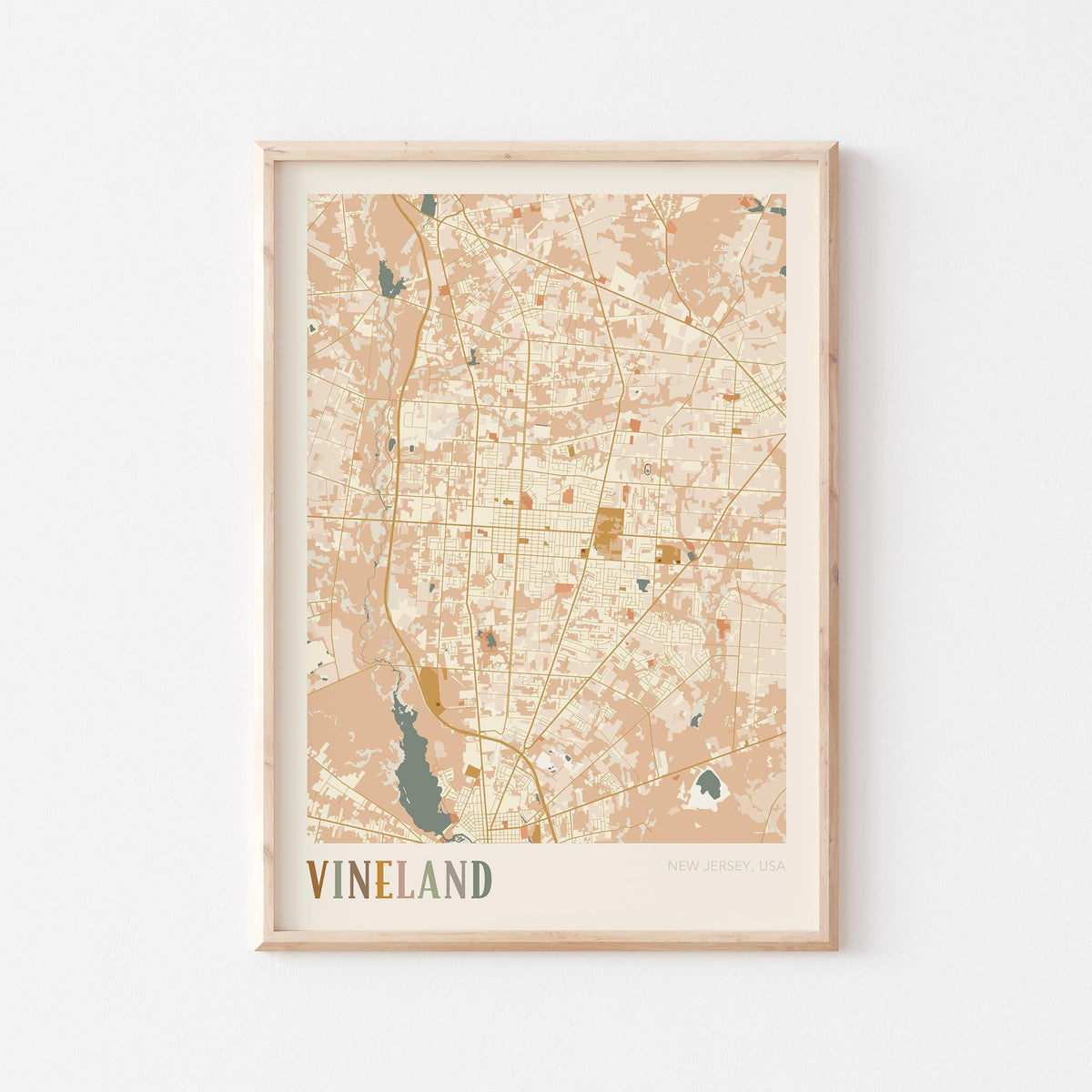 vineland, new jersey map poster - image 1
