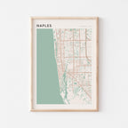 naples, florida map poster - image 1