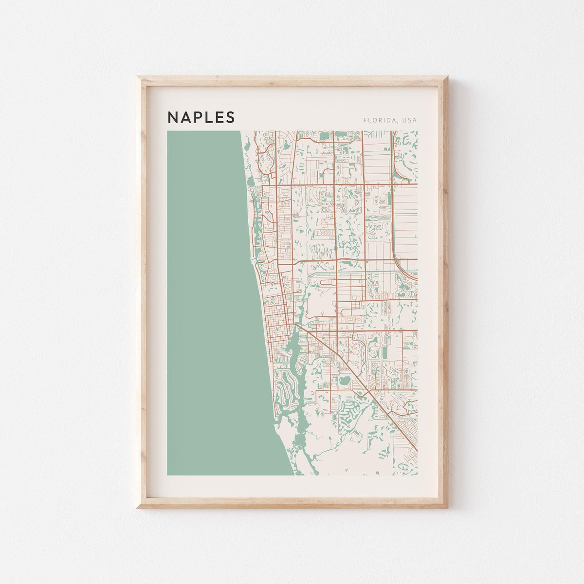 naples, florida map poster - image 1