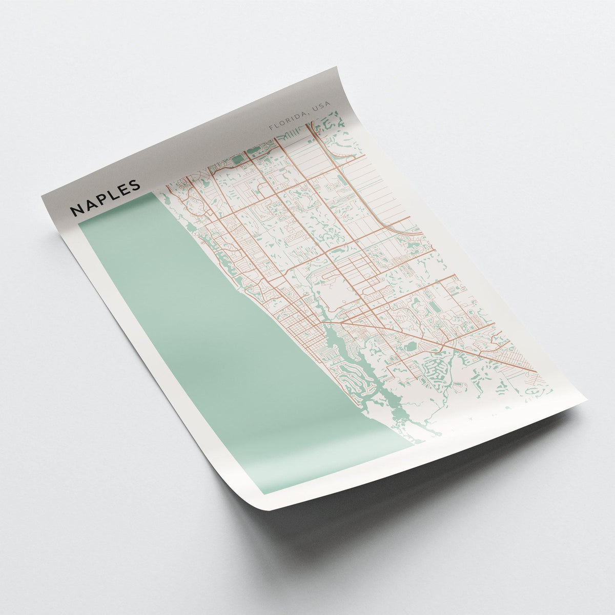 naples, florida map poster - image 4