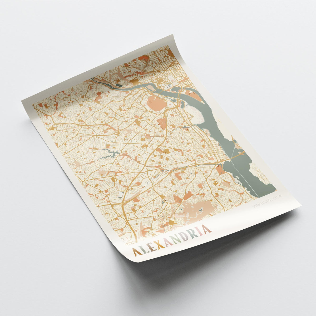 alexandria, virginia map poster - image 4