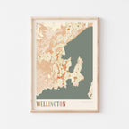 wellington, new zealand map poster - image 1