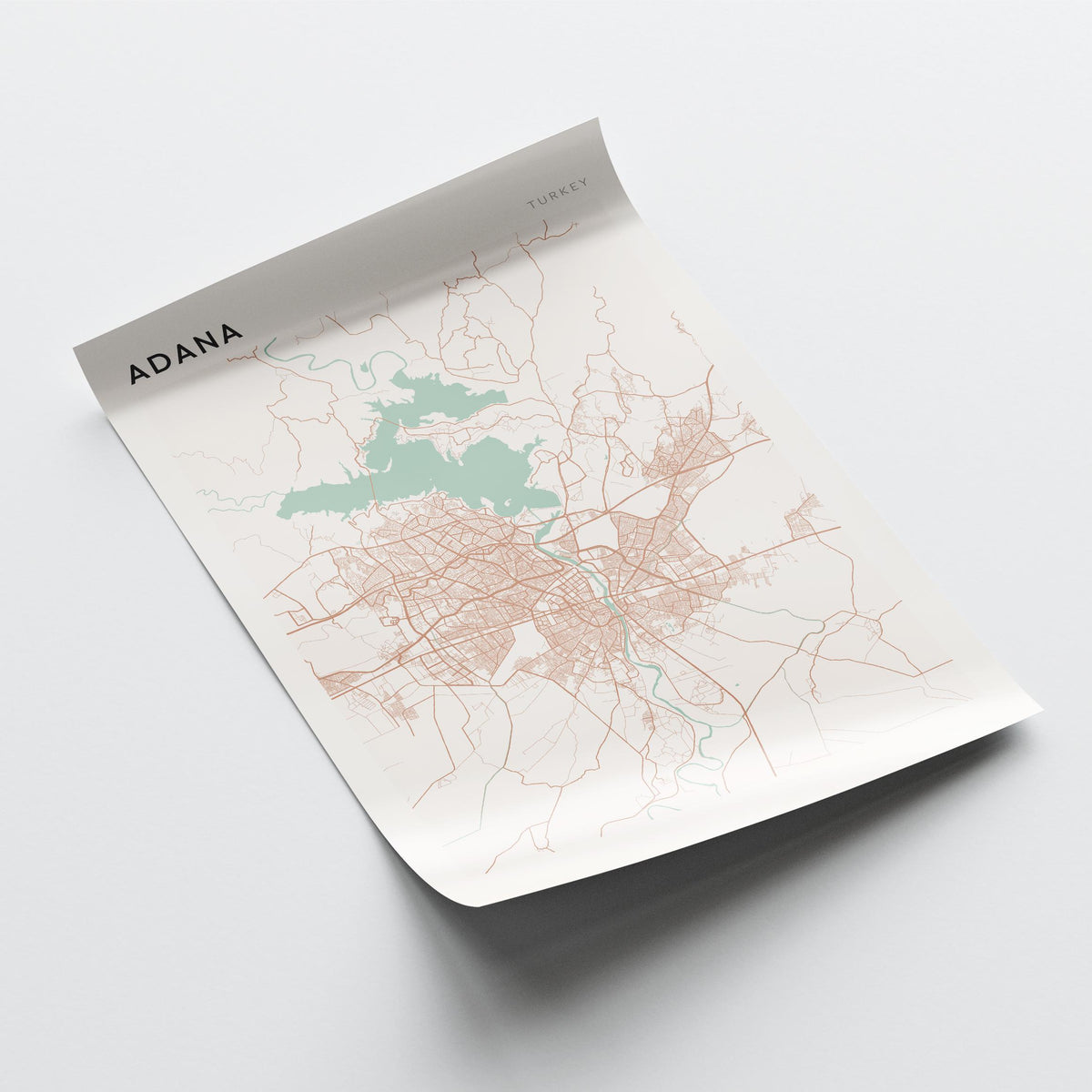 adana, turkey map poster - image 4