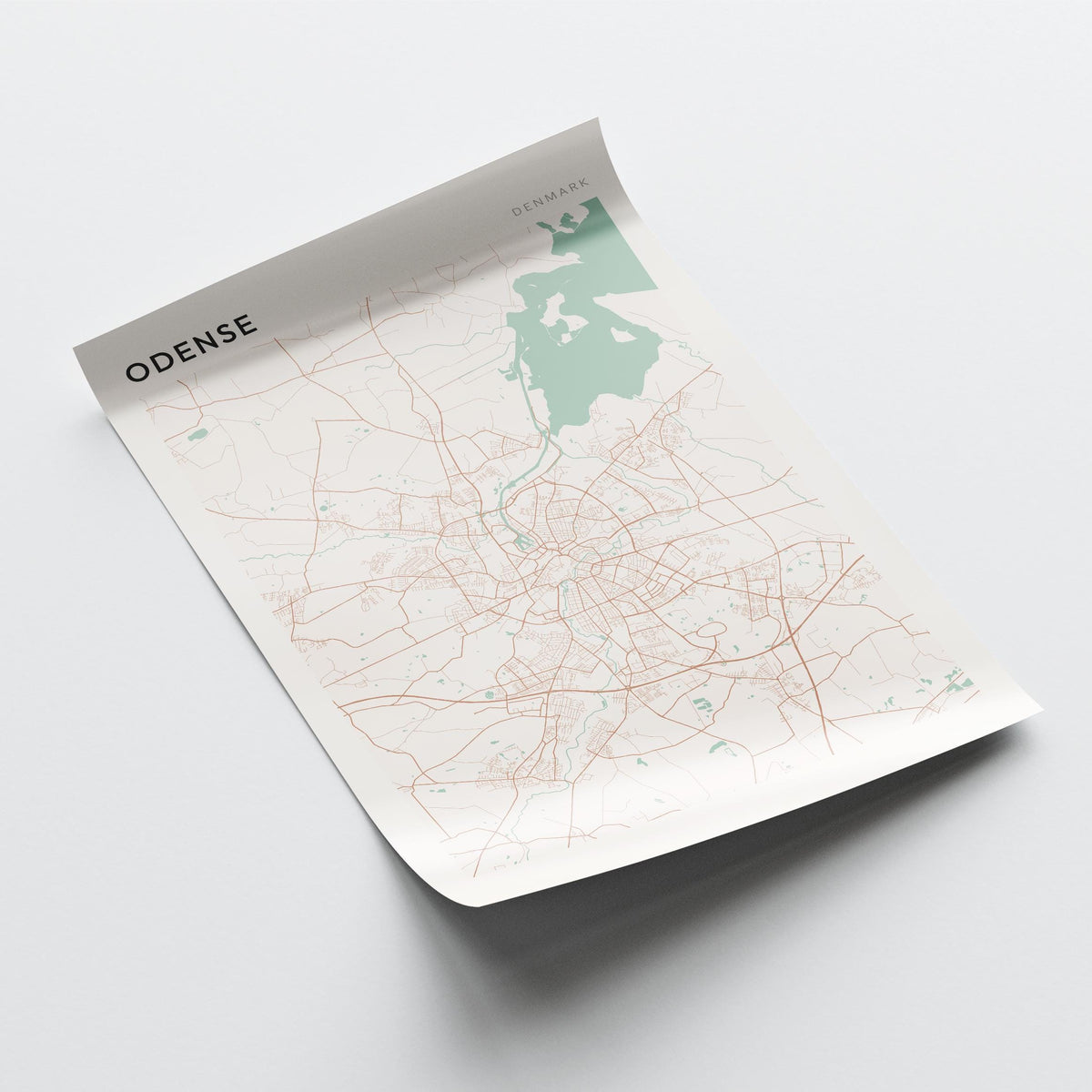 odense denmark map poster - image 4