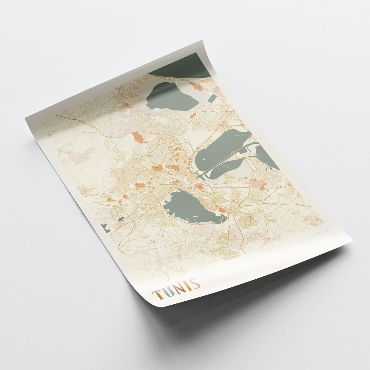 tunis, tunisia map poster - image 4