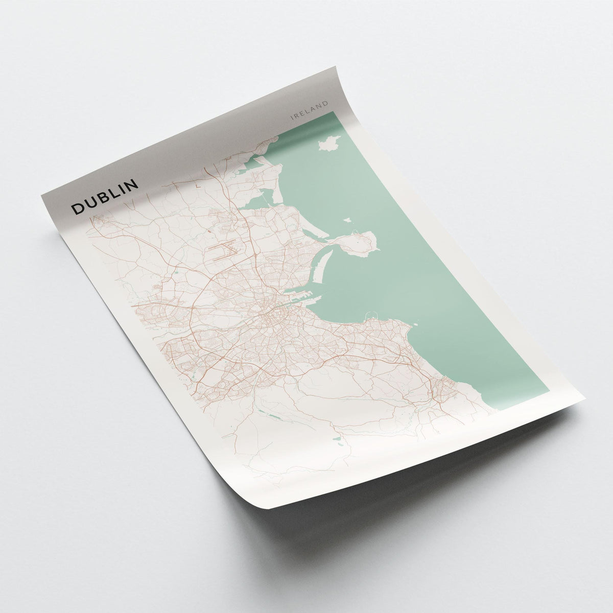 dublin ireland map poster - image 3