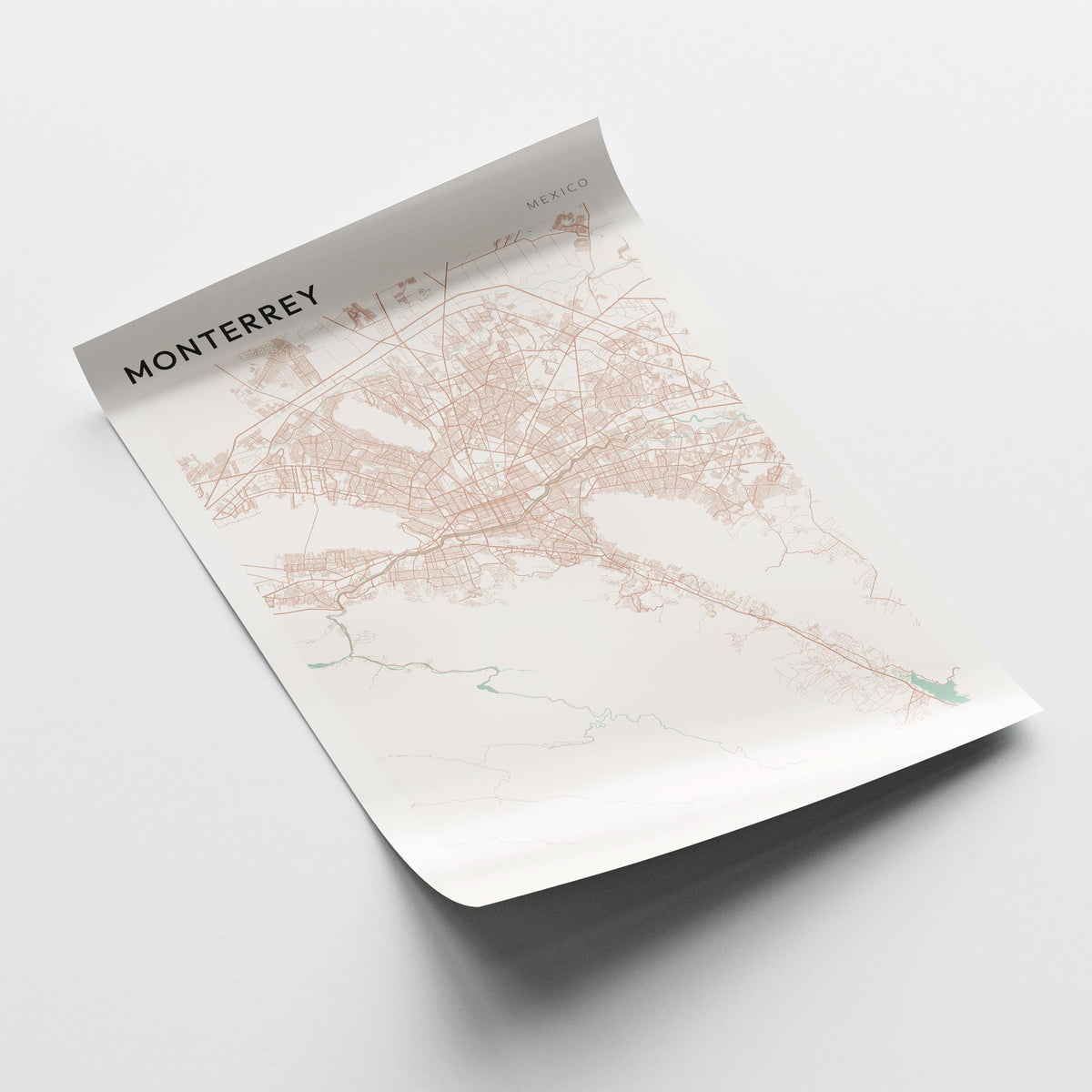 monterrey, mexico map poster - image 4