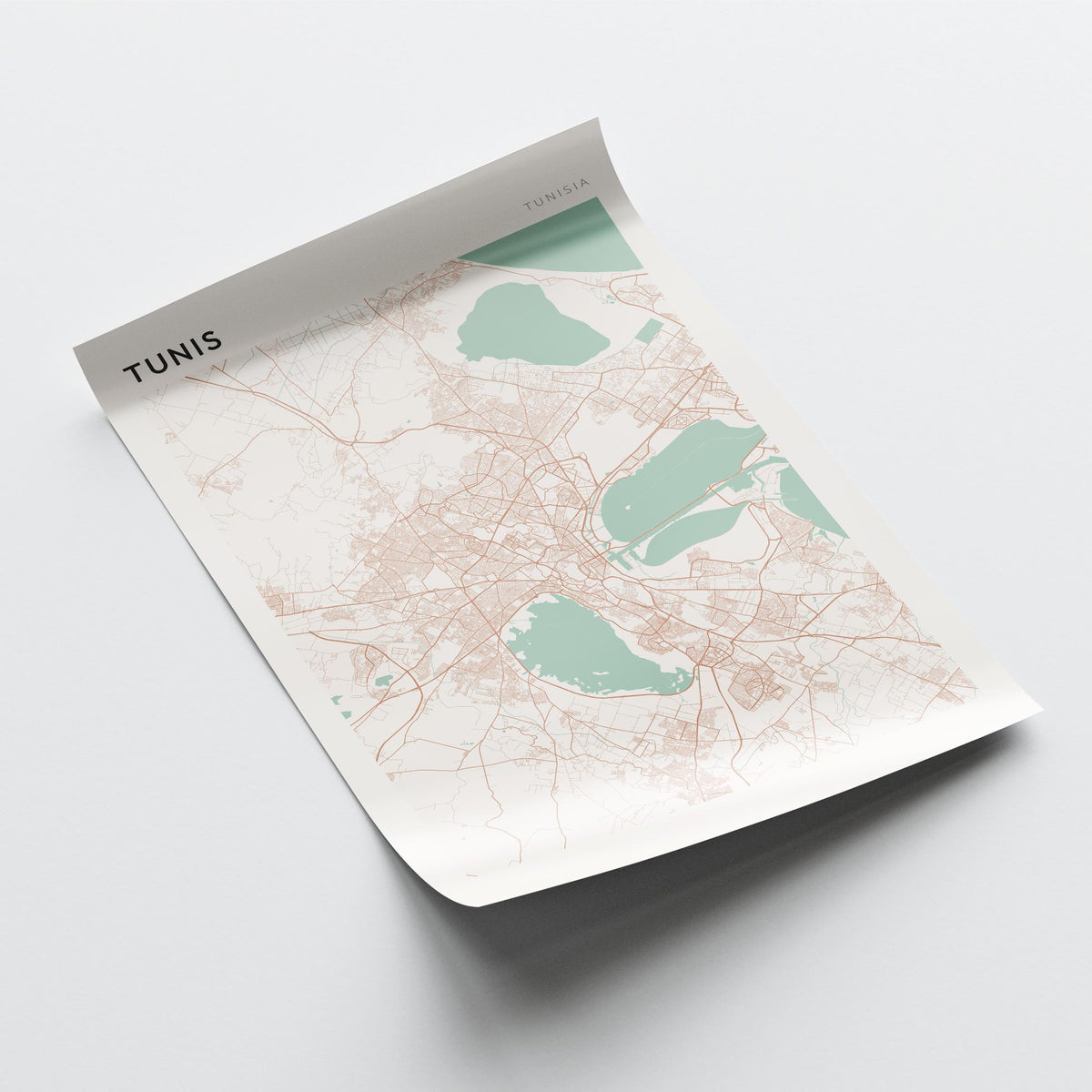 tunis, tunisia map poster - image 4
