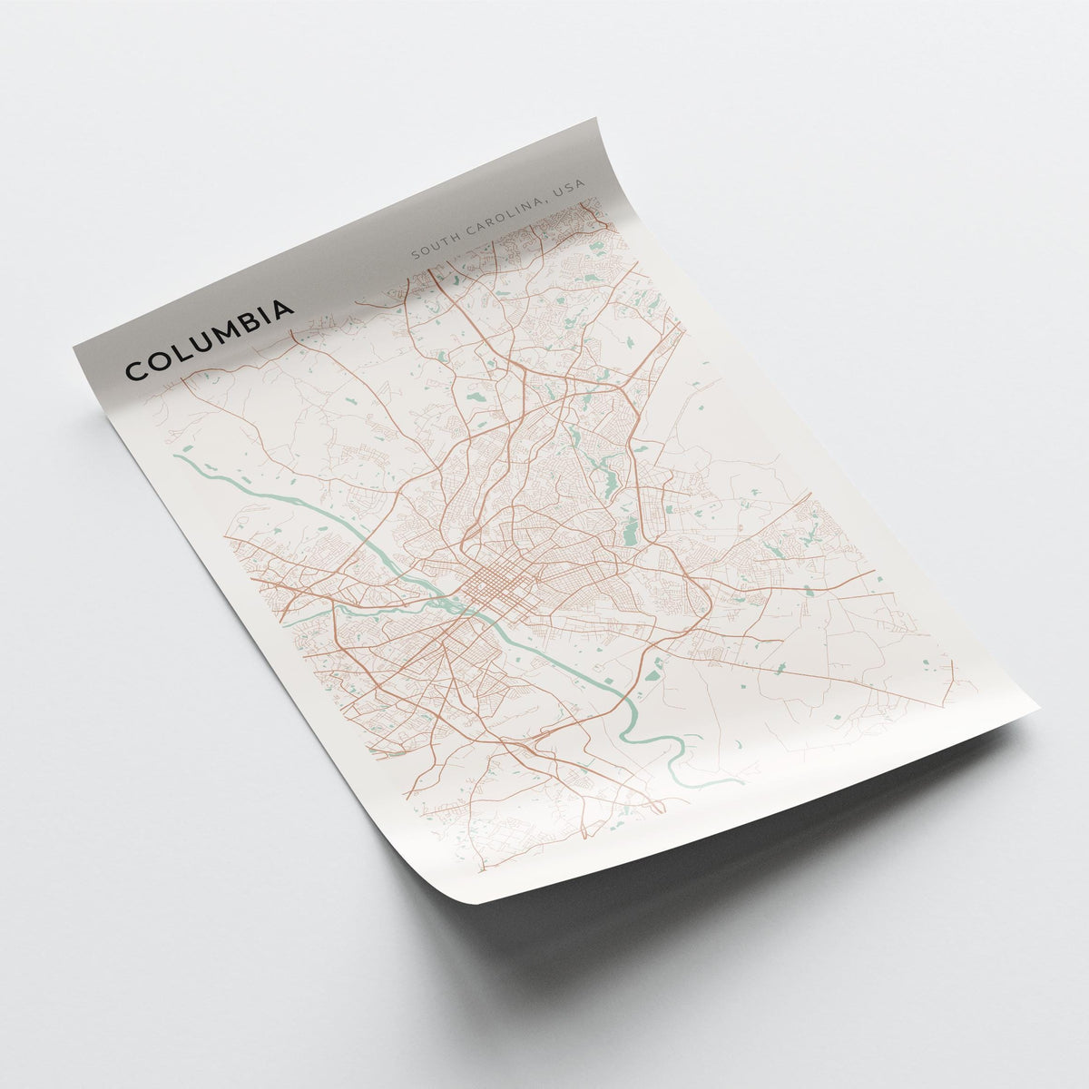 columbia, south carolina map poster - image 4