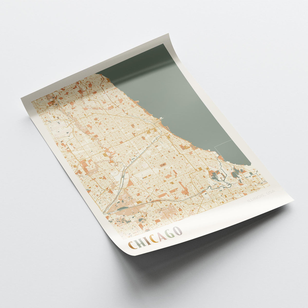 chicago, illinois map poster - image 4