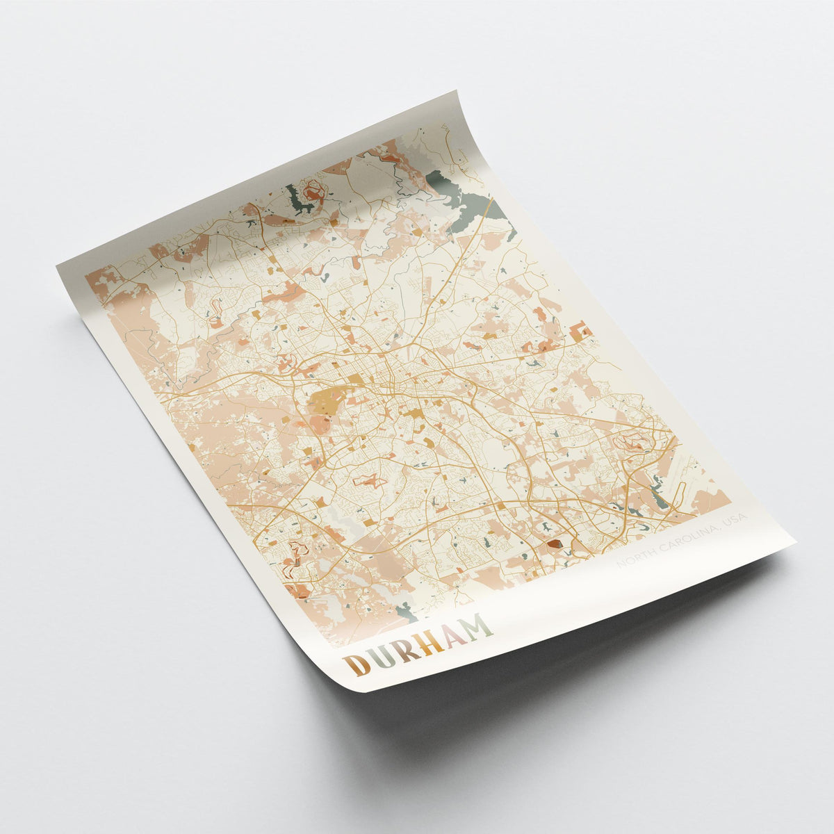 durham, north carolina map poster - image 4