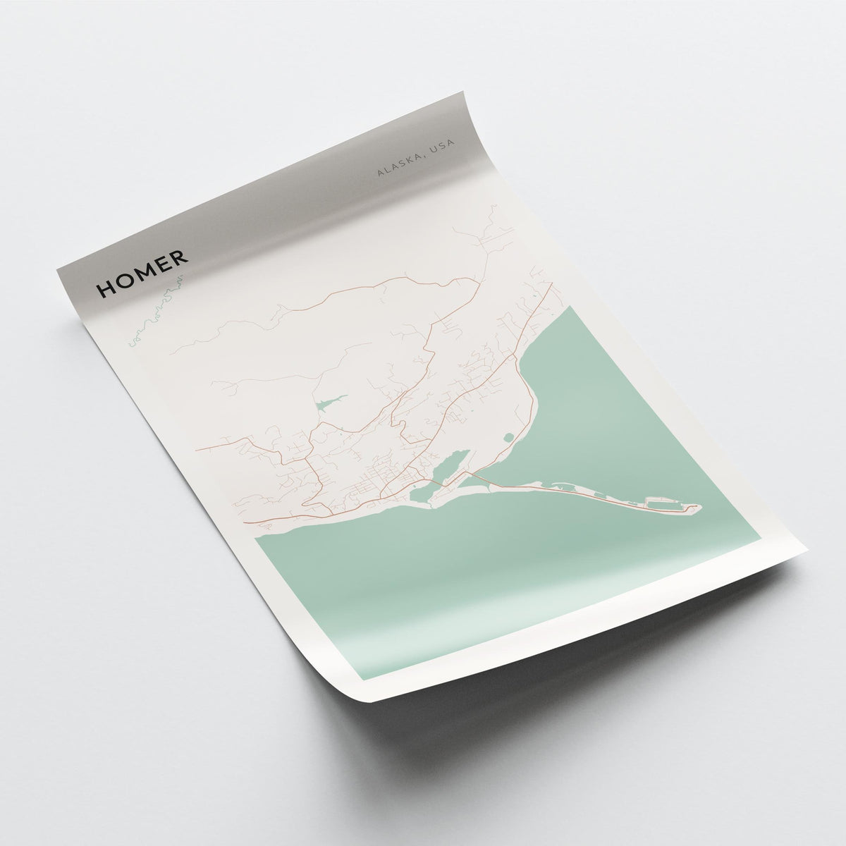 homer, alaska map poster - image 4