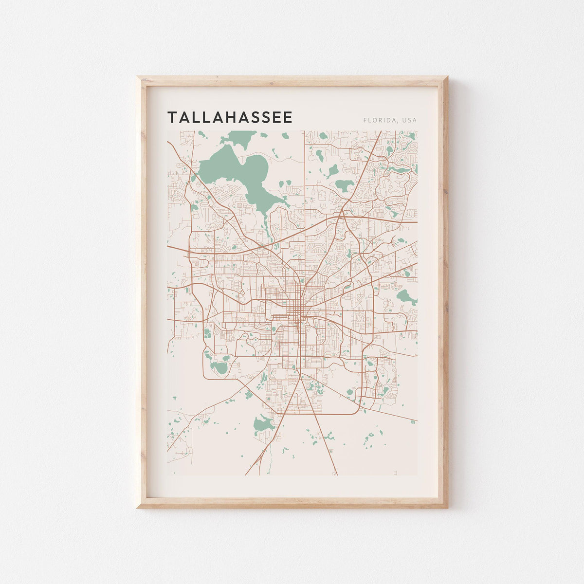 tallahassee, florida map poster - image 1