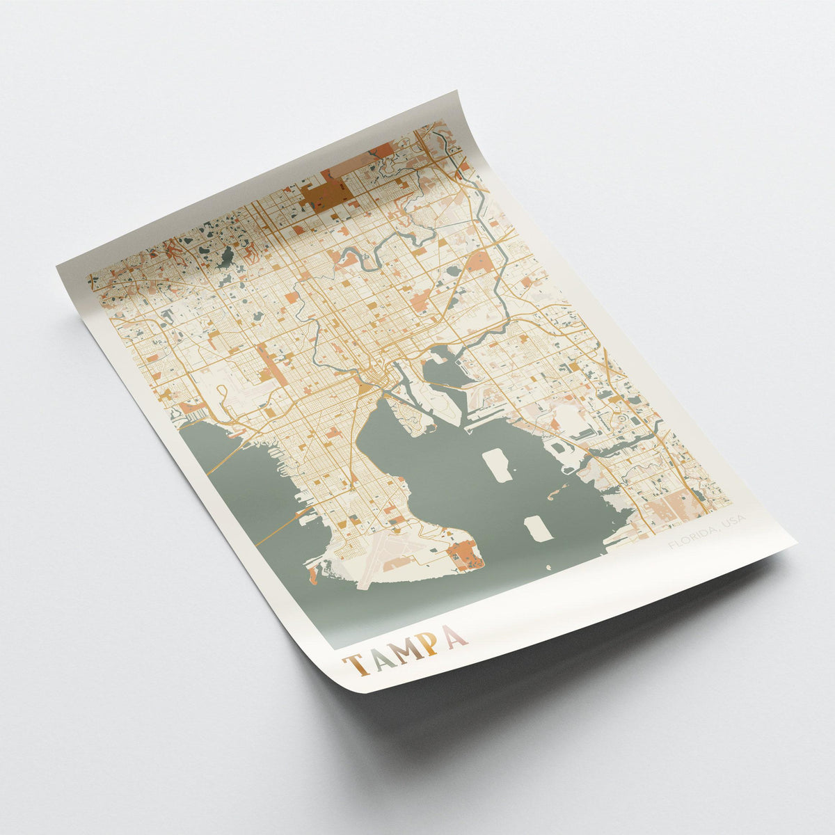 tampa, florida map poster - image 4