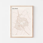 salinas, california map poster - image 1