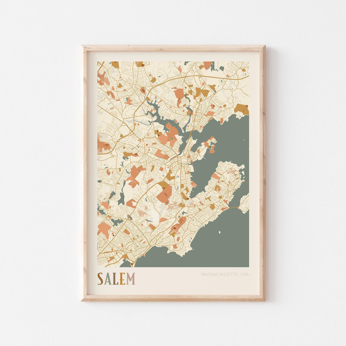 salem, massachusetts map poster - image 1