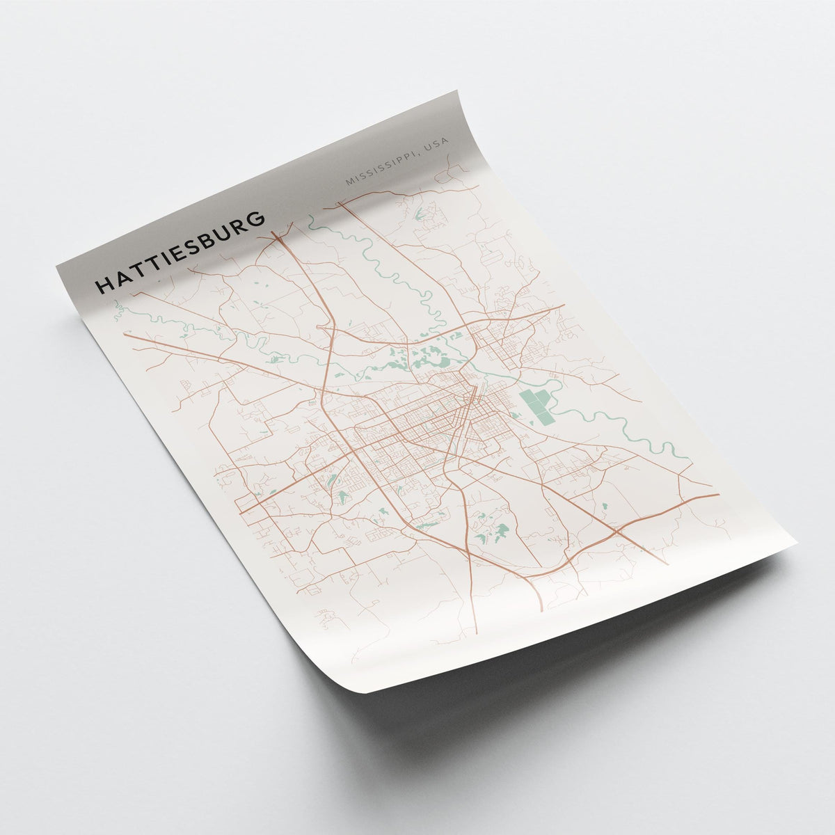 hattiesburg, mississippi map poster - image 4