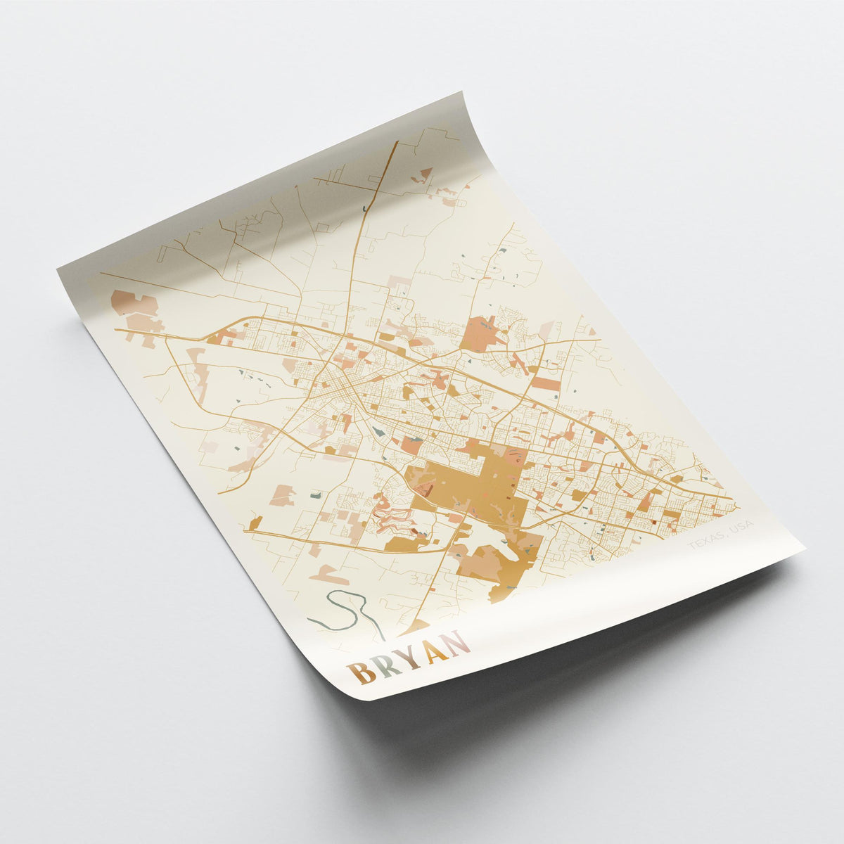bryan, texas map poster - image 4