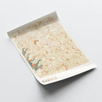 frisco, texas map poster - image 4