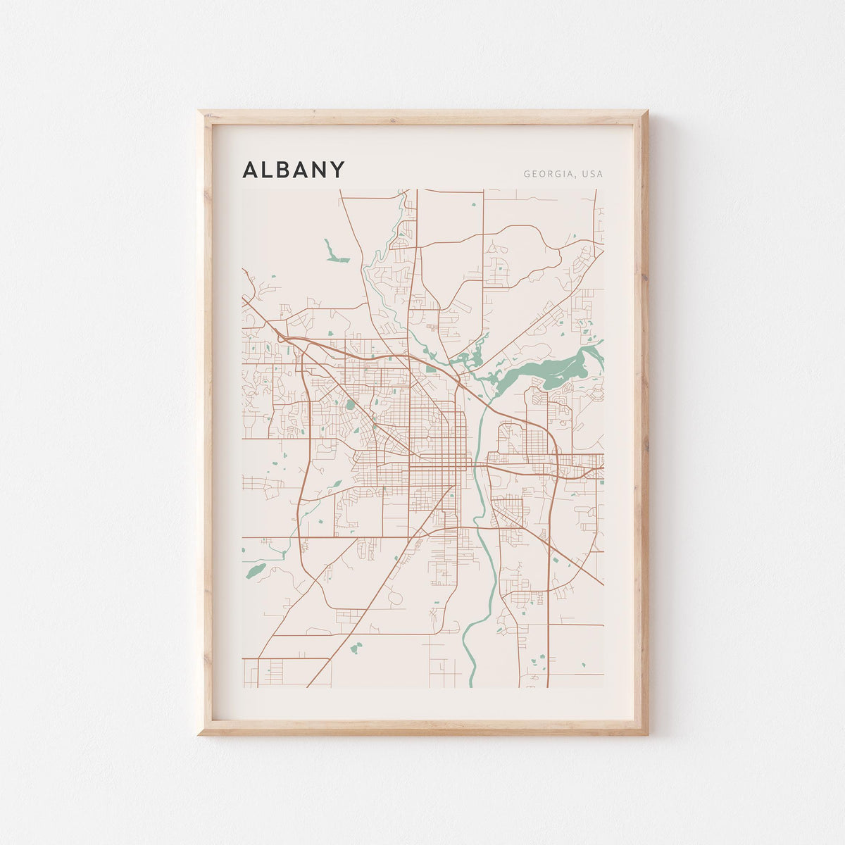 albany, georgia map poster - image 1