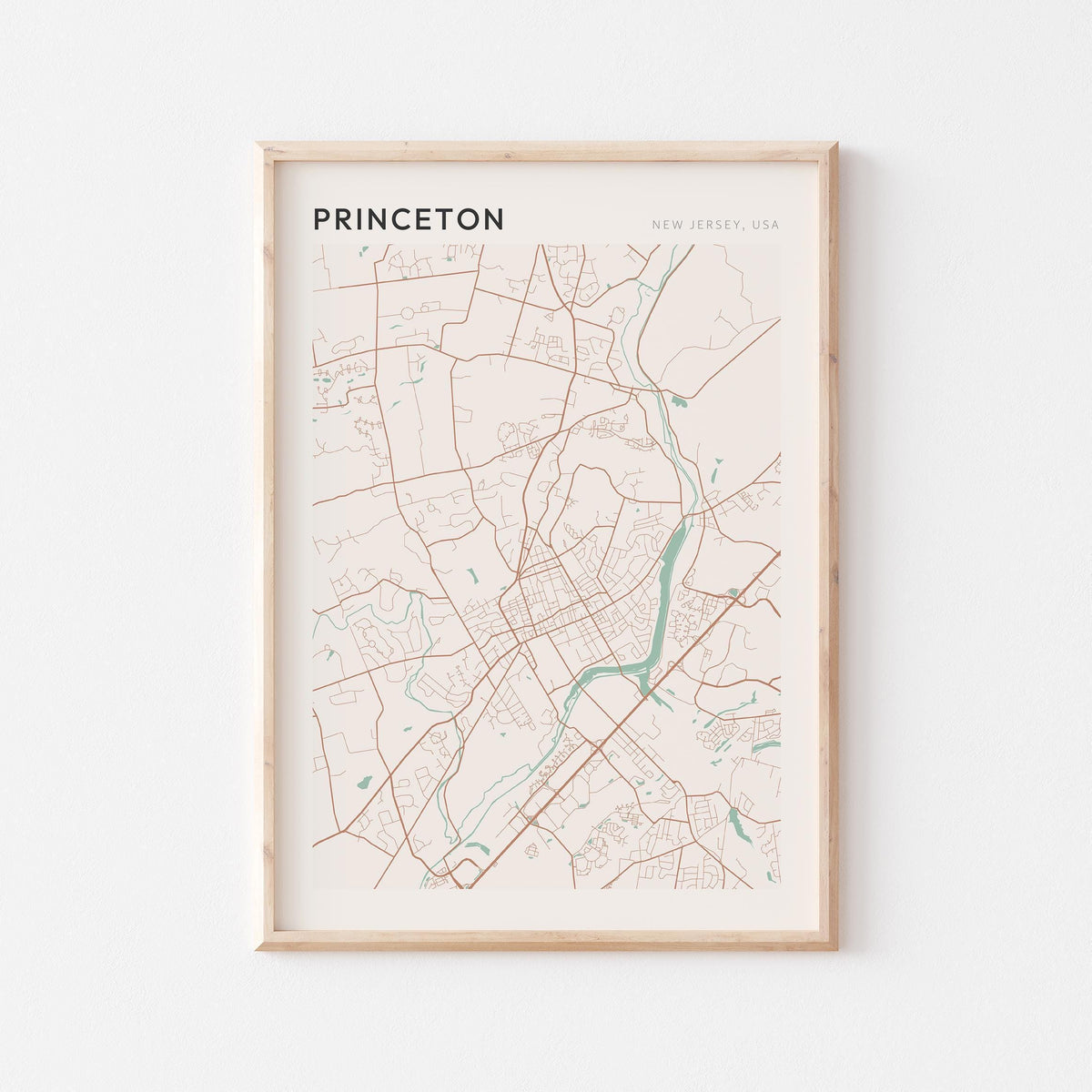 princeton, new jersey map poster - image 1
