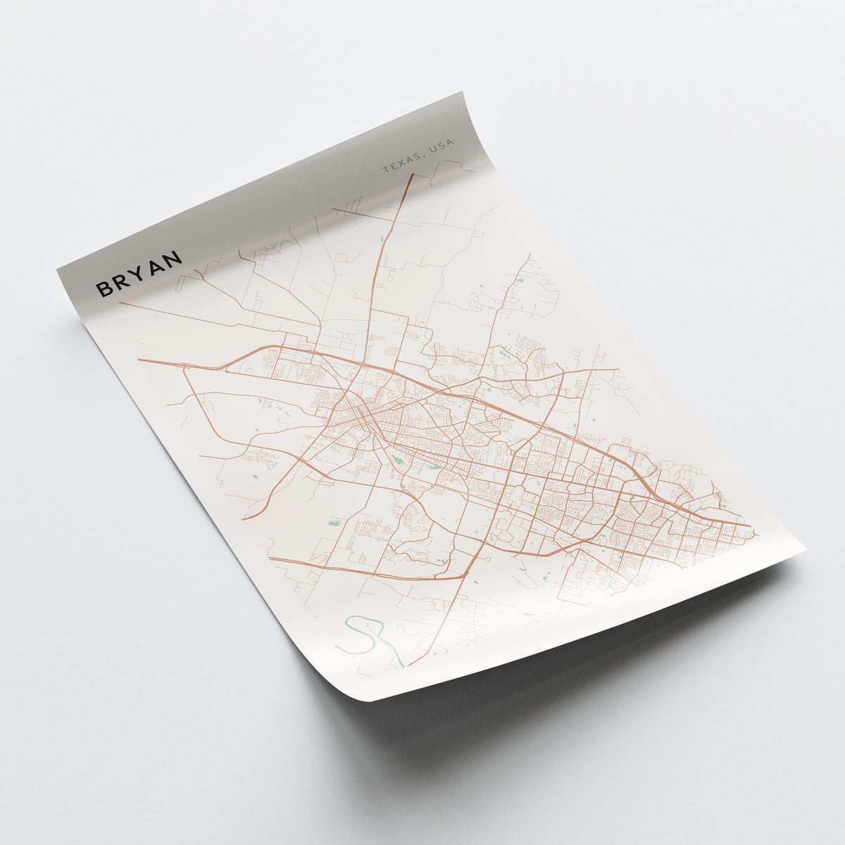 bryan, texas map poster - image 4