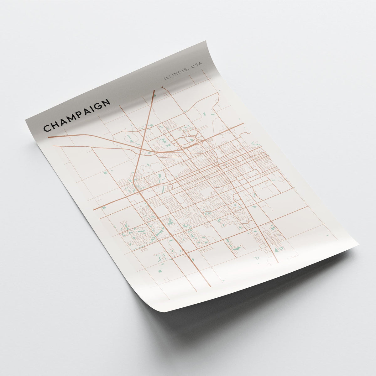 champaign, illinois map poster - image 4