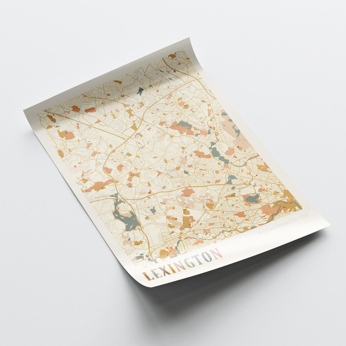 lexington, massachusetts map poster - image 4