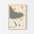 petoskey, michigan map poster - image 1