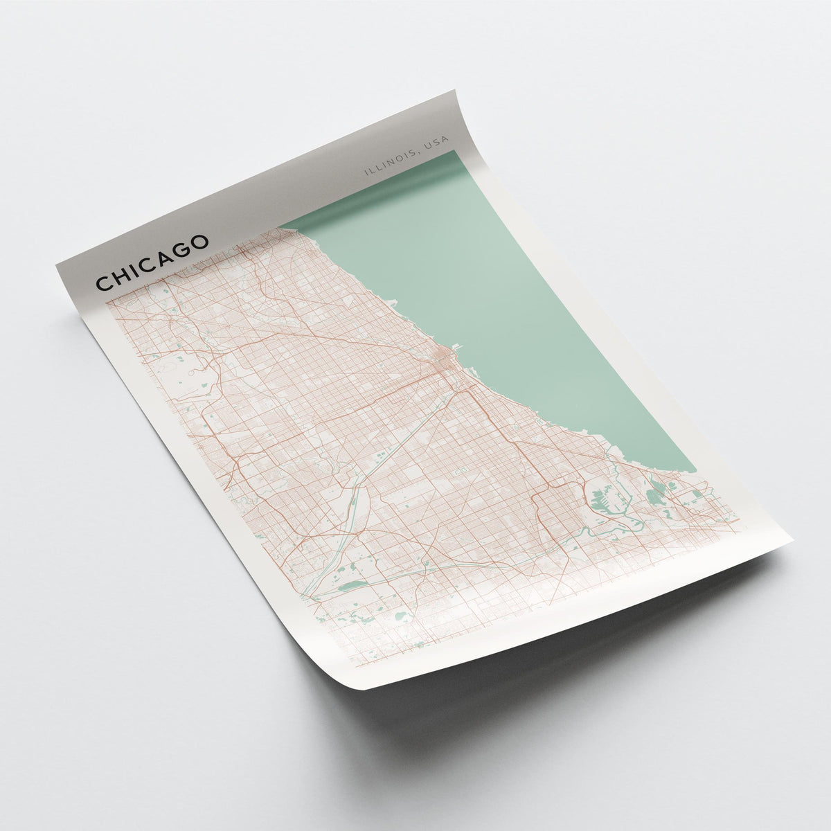 chicago, illinois map poster - image 4