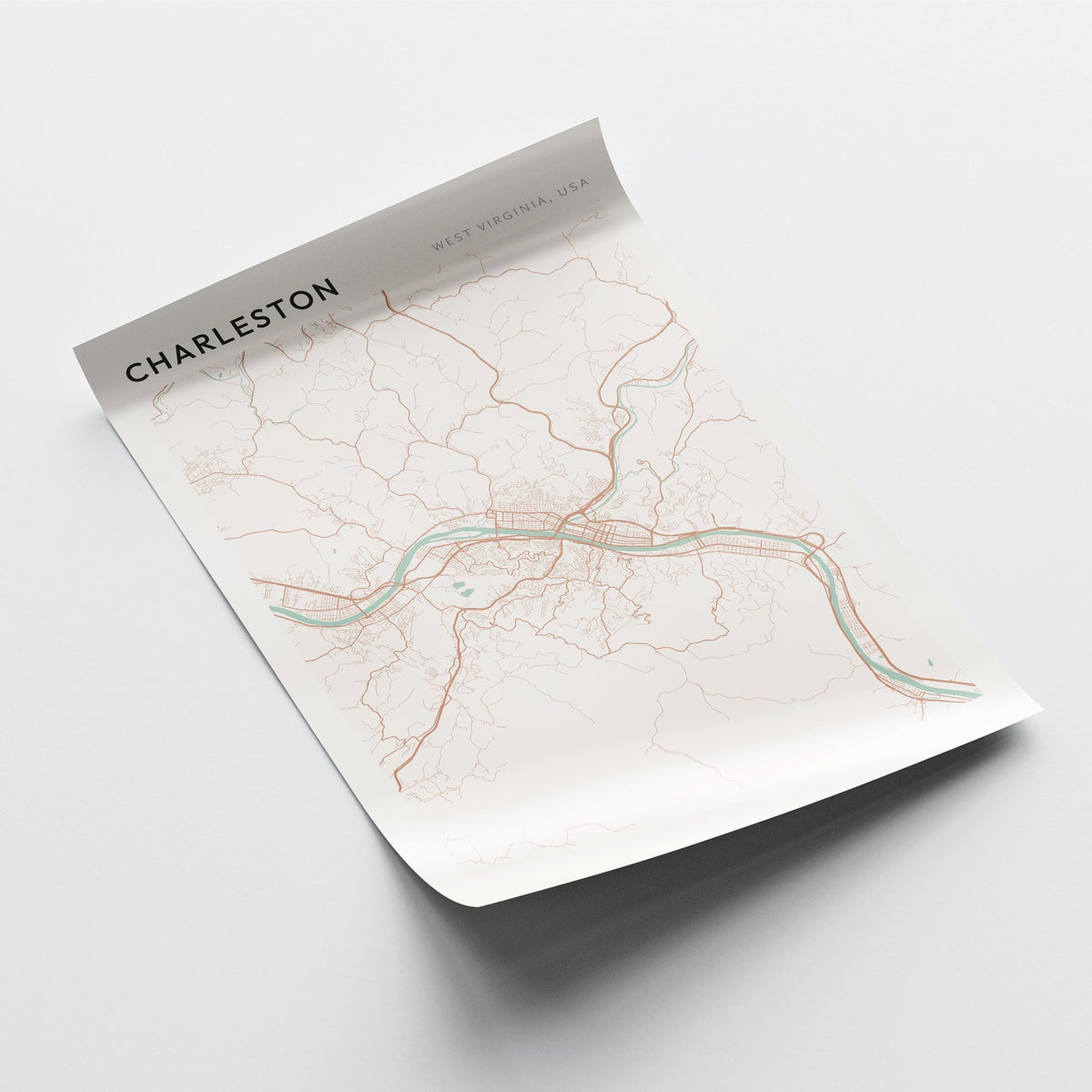 charleston, west virginia map poster - image 4