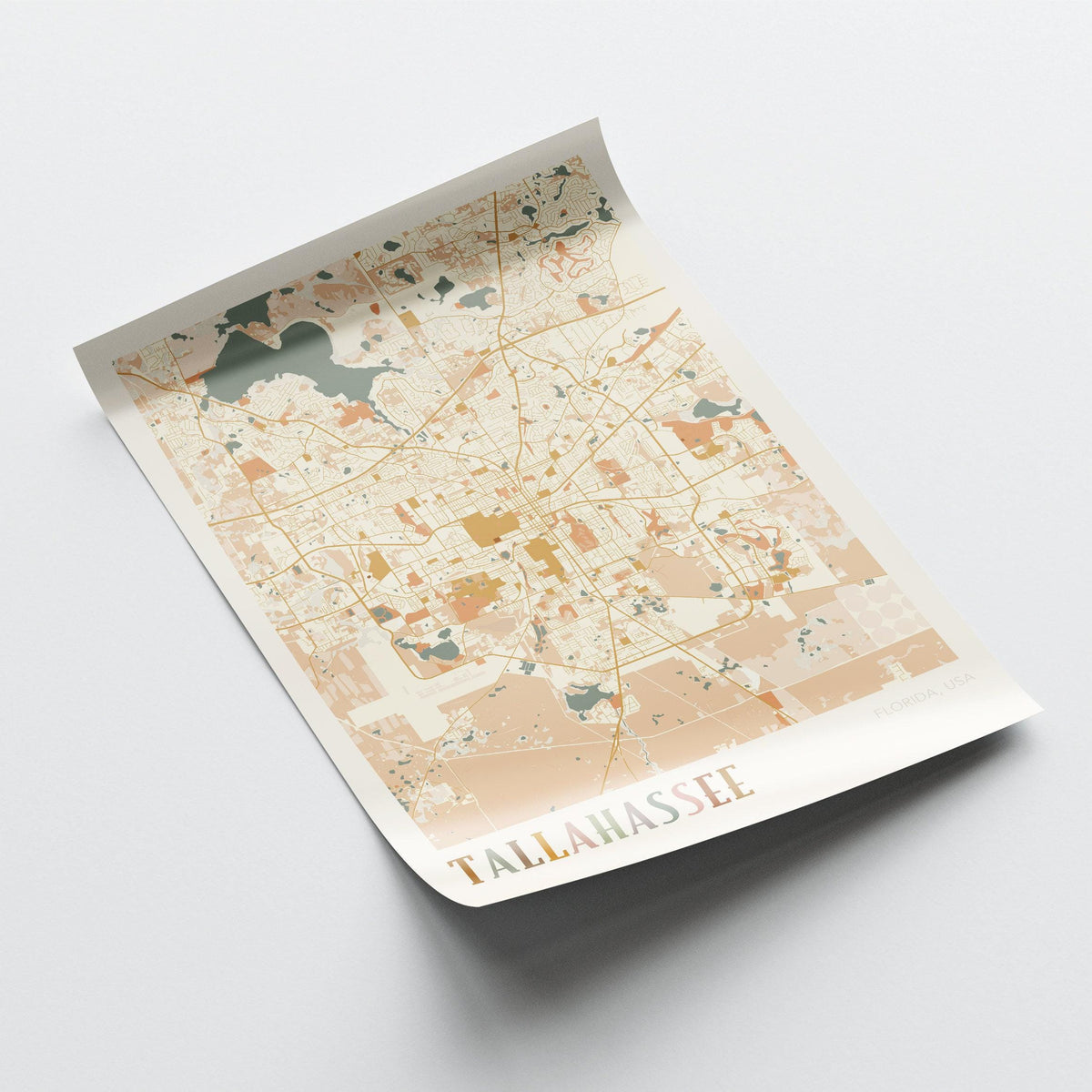 tallahassee, florida map poster - image 4